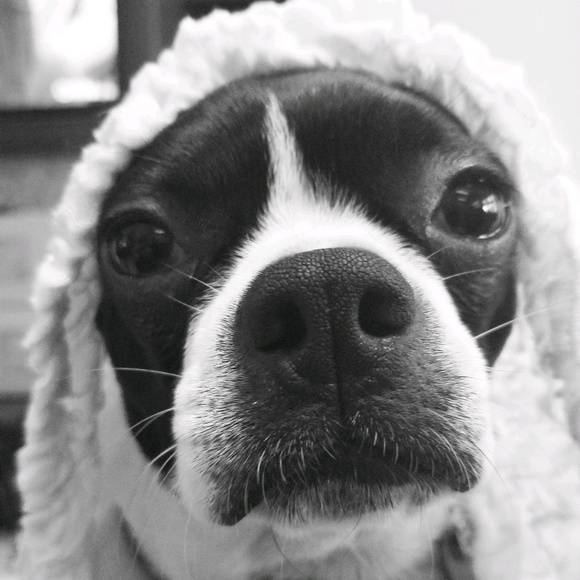 Meet your Posher, Beth - Picture 1 of 1